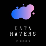 Logo of Data Mavens Ltd
